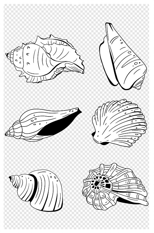 手绘海洋生物沙滩海螺贝壳图素材