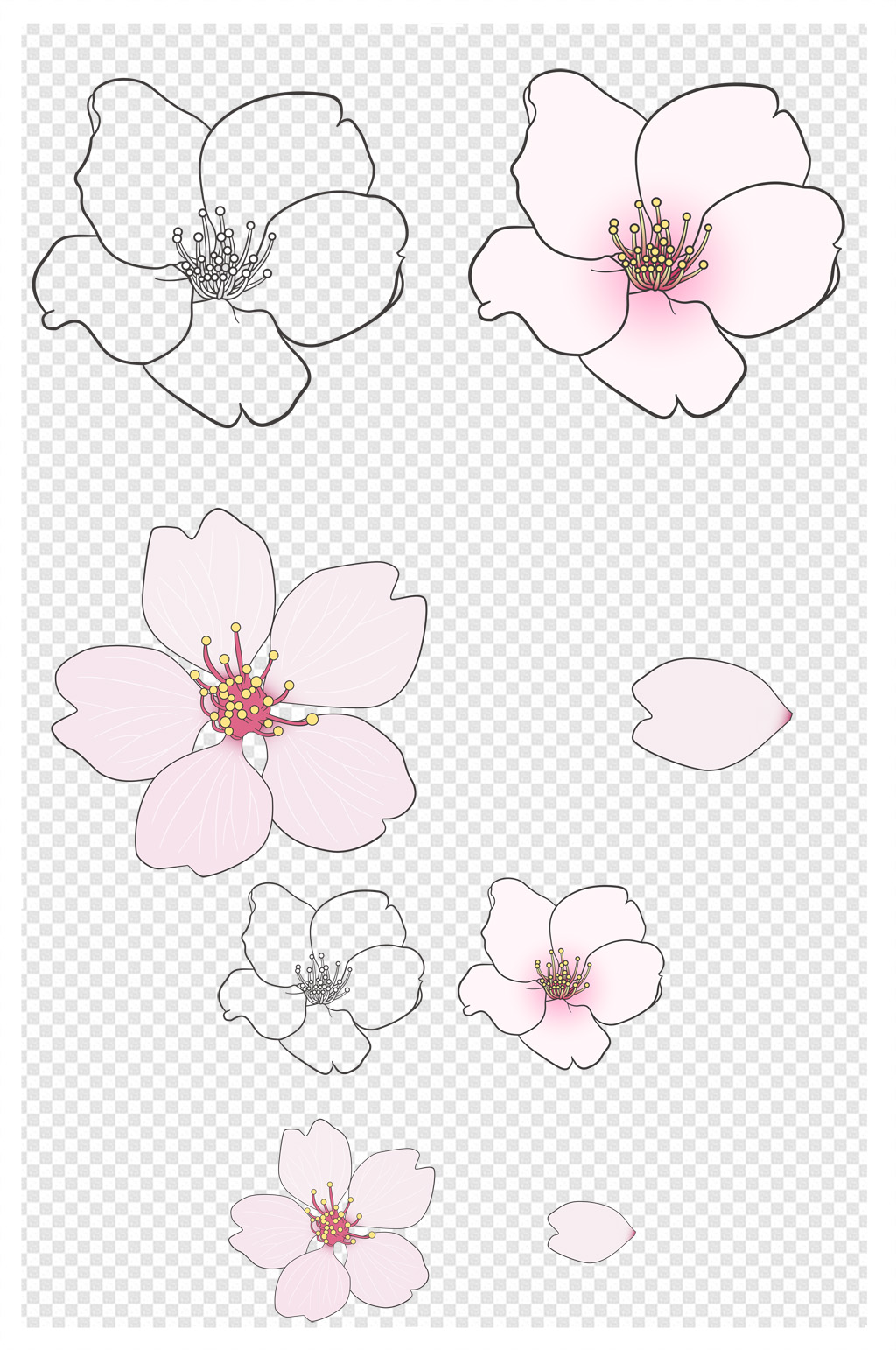 樱花的画法花瓣图片