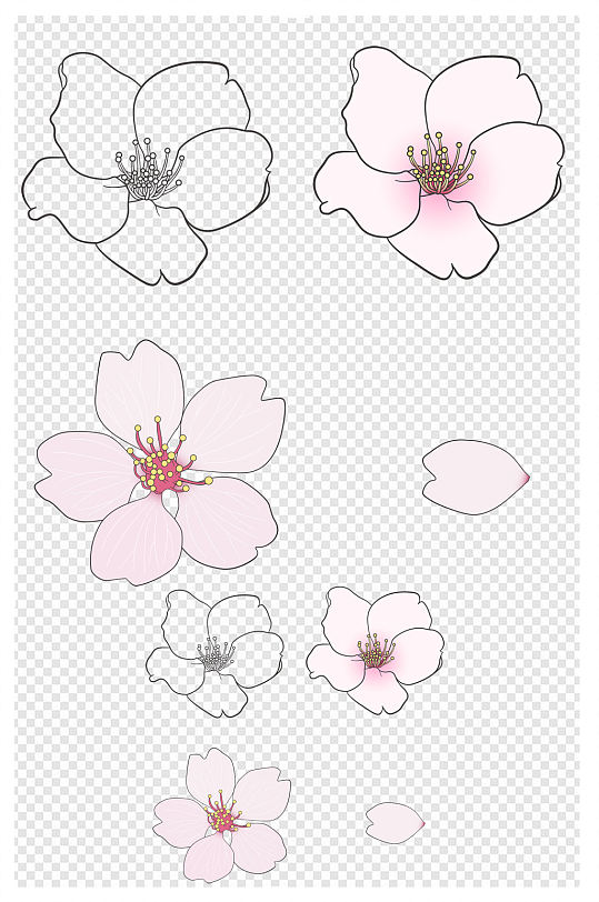 樱花花瓣线稿设计元素