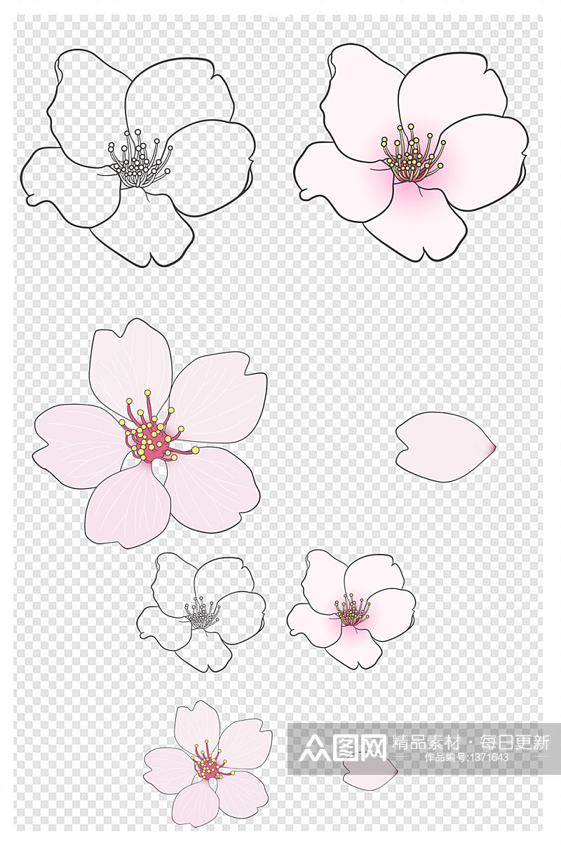 樱花花瓣线稿设计元素素材