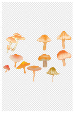 蘑菇素材手绘插画蓝色背景单个蘑菇
