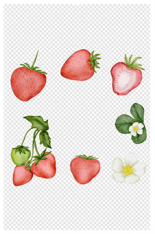 水彩风格草莓包装元素