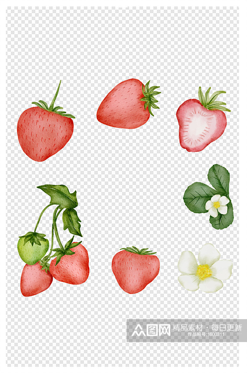 水彩风格草莓包装元素素材