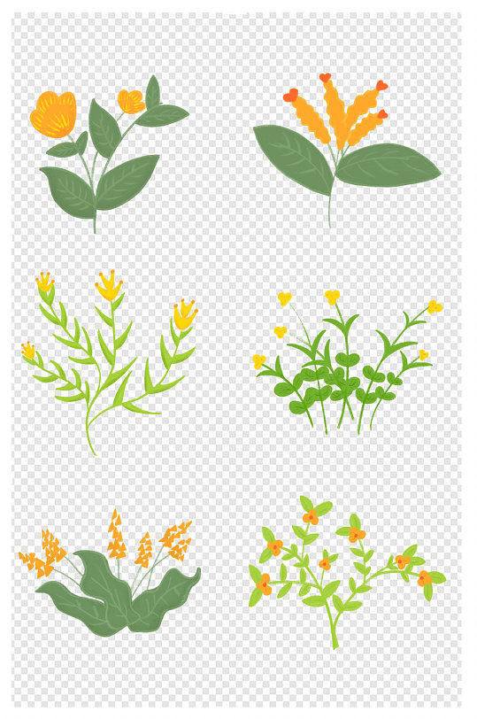 春天植物插画图片-春天植物插画素材下载-众图网