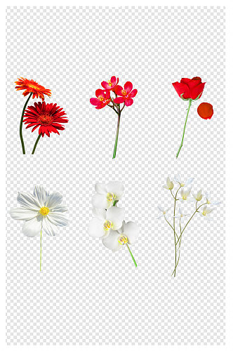 元素装饰花朵春天小清新花枝装饰图
