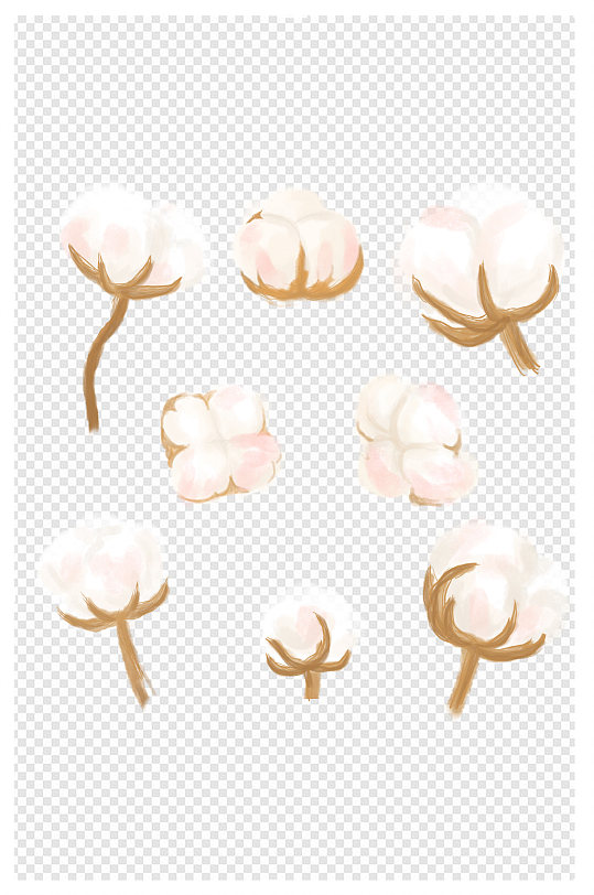 棉花新疆长绒棉素材png免扣