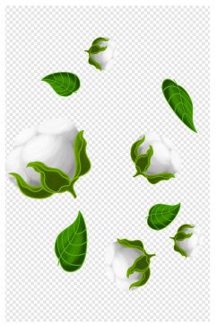卡通装饰绿色植物棉花元素