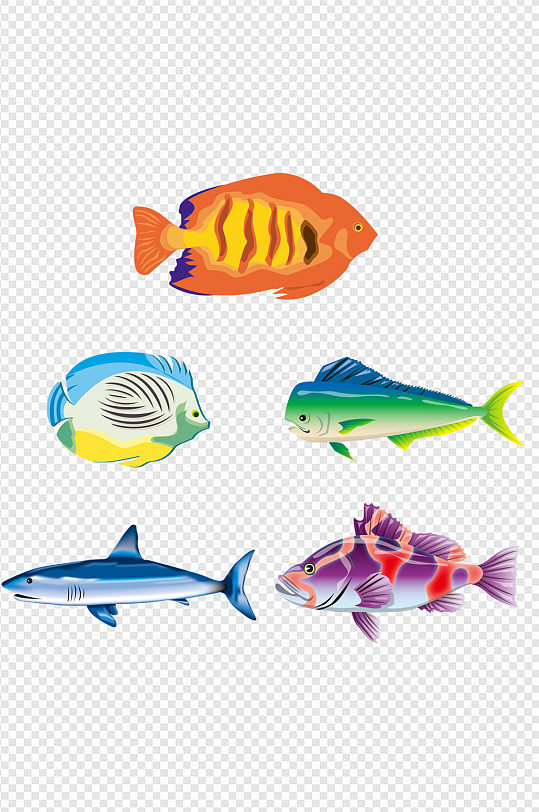鱼各种鱼鱼类卡通鱼动物鱼动物