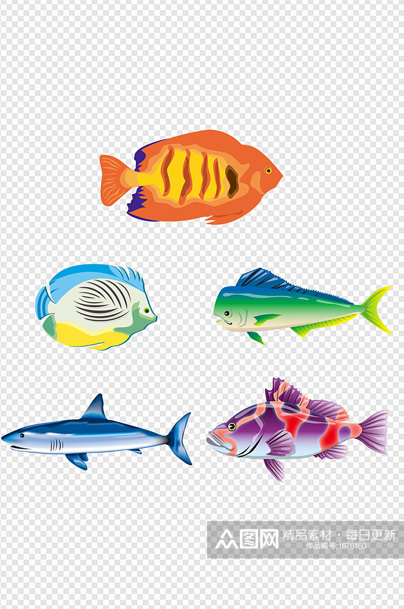 鱼各种鱼鱼类卡通鱼动物鱼动物素材