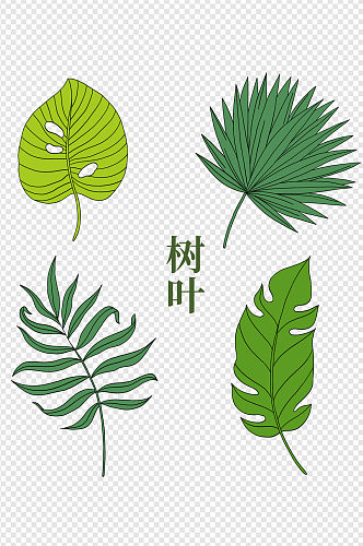手绘卡通绿色植物树叶春天素材