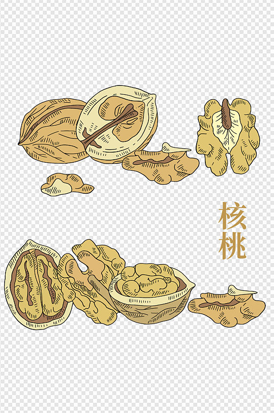 手绘核桃零食茶饮坚果果仁干美食素材