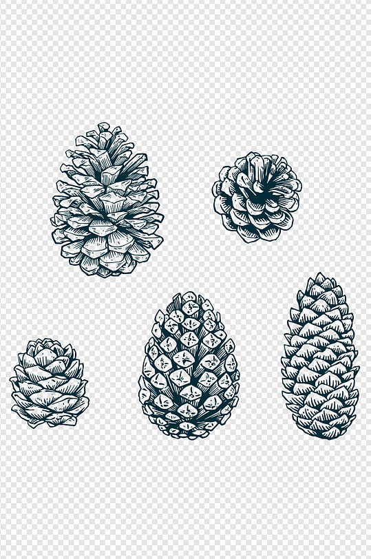 手绘不同形状松果元素
