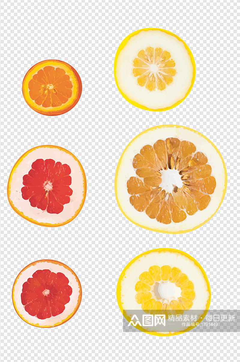 手绘水彩水果橙子红柚柚子葡萄柚切片素材