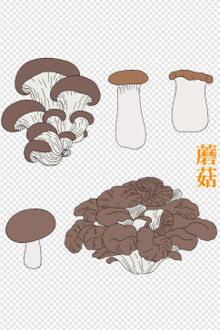 手绘卡通菌类香菇蘑菇蔬菜植物森林元素