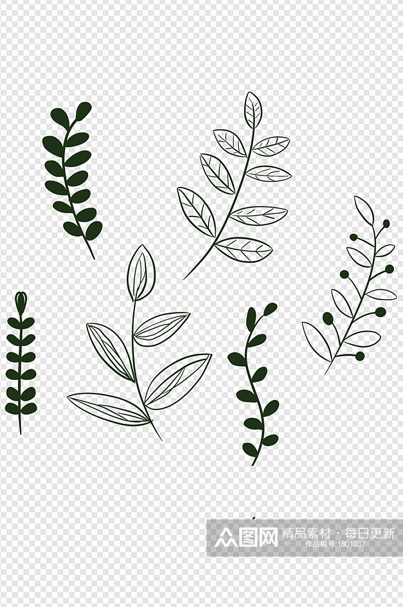 手绘绿色插画植物叶子素材