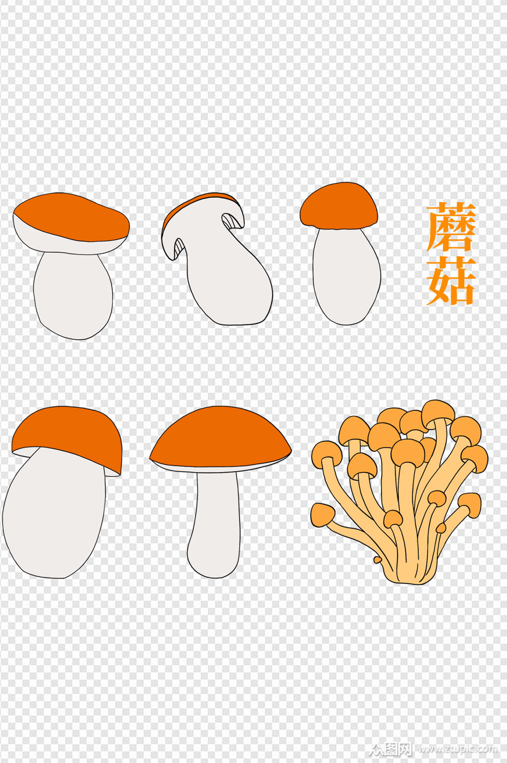 手绘卡通植物蘑菇香菇金针菇菌菇美食素材