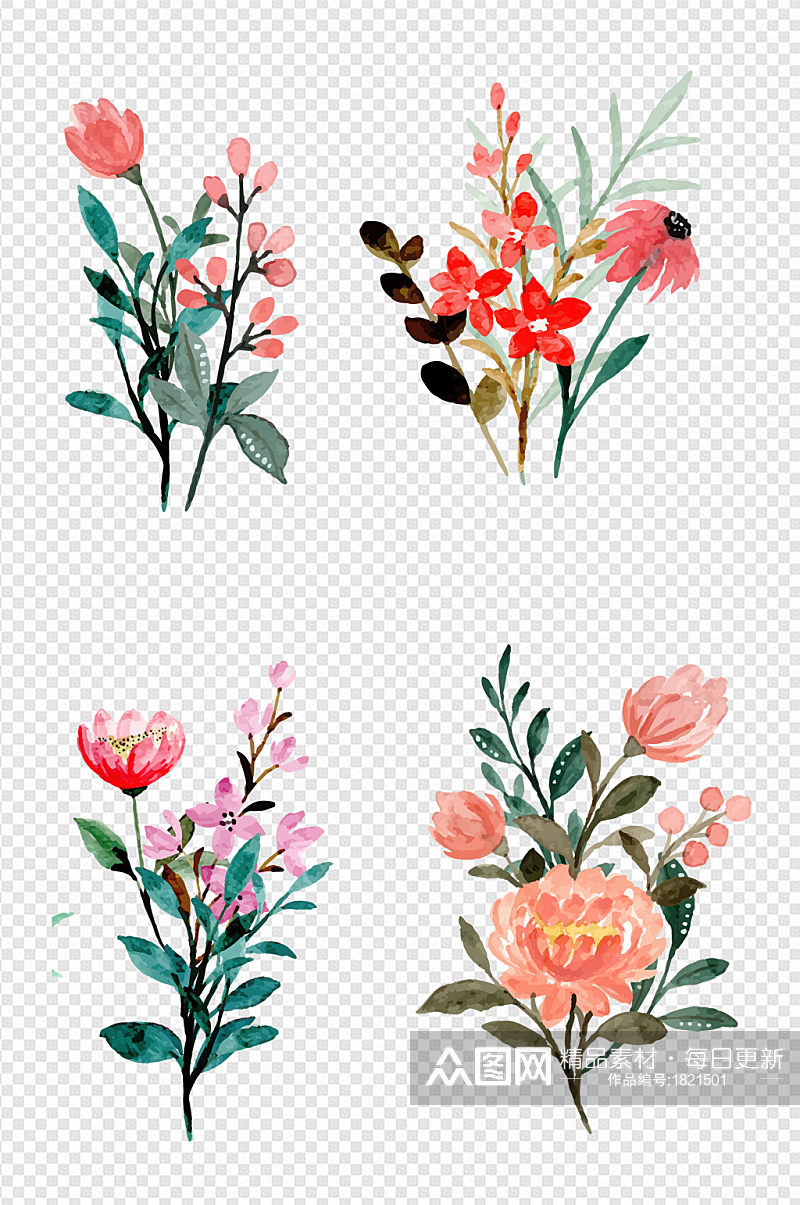 水彩花卉插画花卉元素合集素材