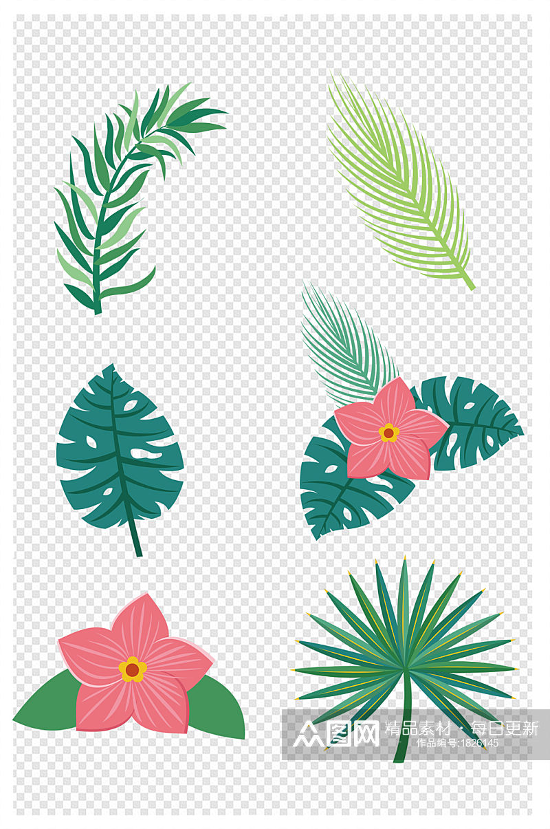 手绘插画植物春天夏天热带花草元素素材