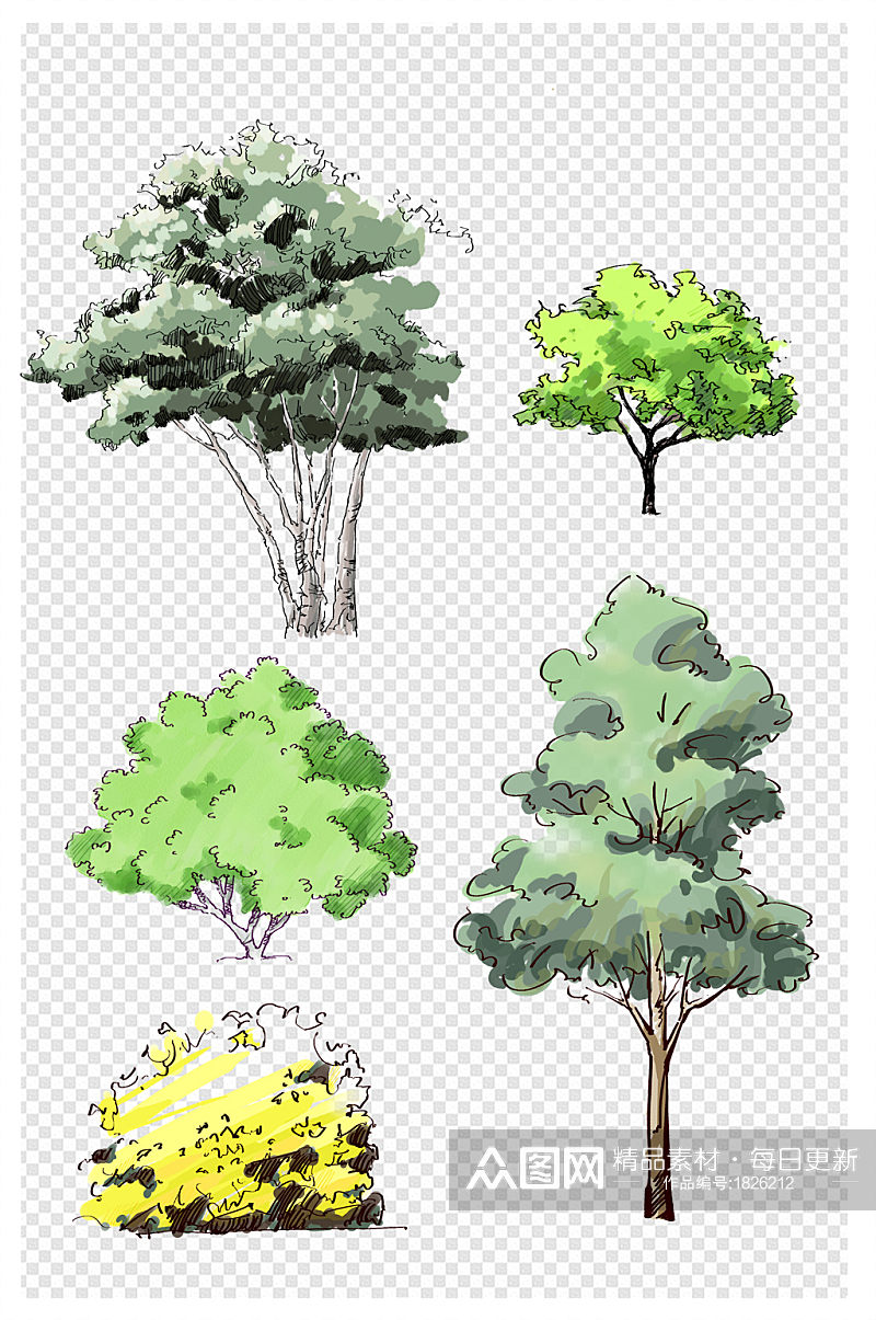 景观园林手绘植物树素材