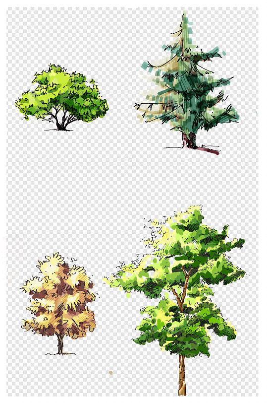 景观园林手绘植物树