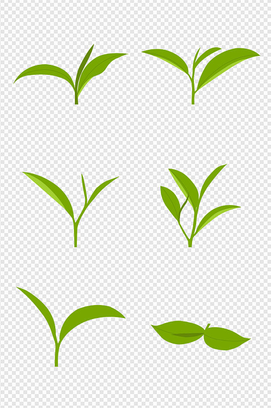 手绘新鲜绿色茶树茶叶嫩芽元素