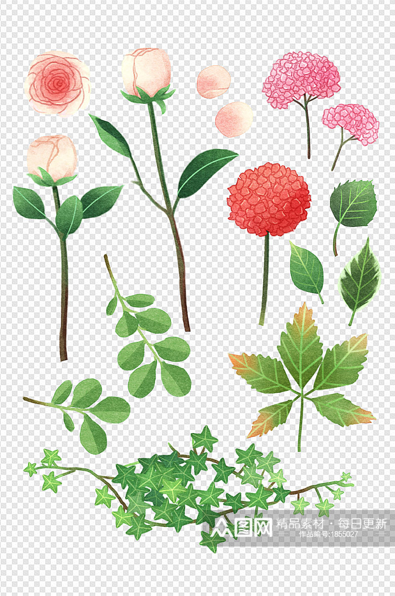 水彩小清新玫瑰木绣球花朵卉叶子绿色元素材素材