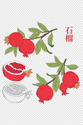 手绘卡通水果红石榴植物美食石榴籽素材