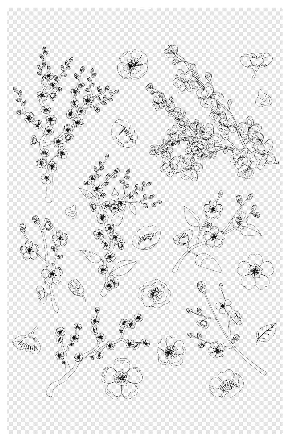 简笔画花瓣飘落图片