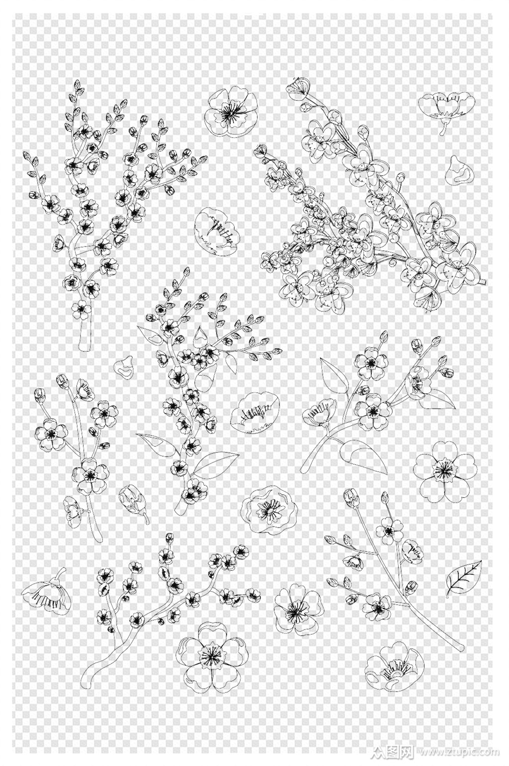 手绘卡通线描春天桃花花瓣飘落