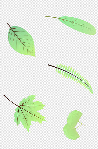 植物树叶绿叶插画