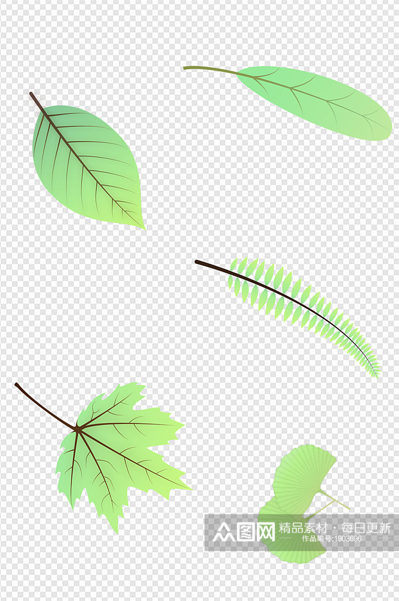 植物树叶绿叶插画素材