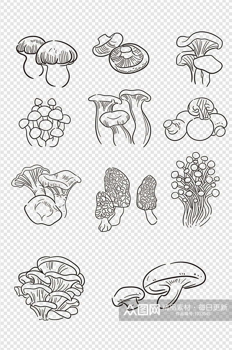 手绘蘑菇素材蘑菇线稿素材