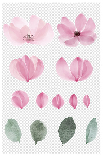 粉色水墨花瓣花朵插画元素