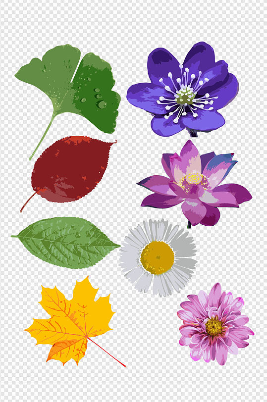 花和树叶植物元素