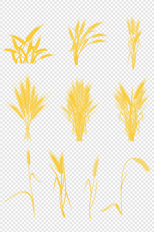 麦穗稻谷丰收麦地麦子芒种麦田