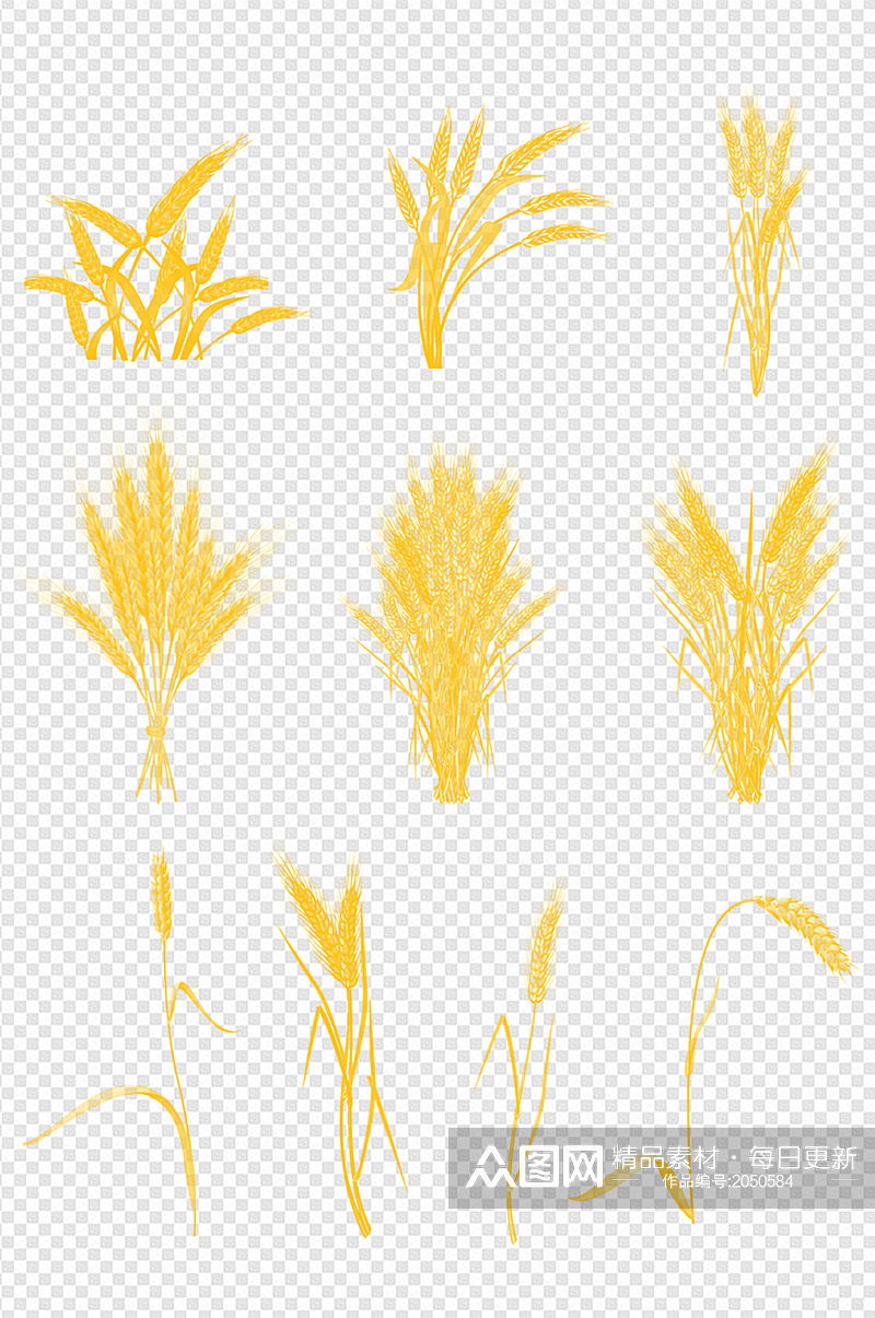 麦穗稻谷丰收麦地麦子芒种麦田素材