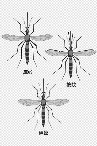 蚊子设计元素套图