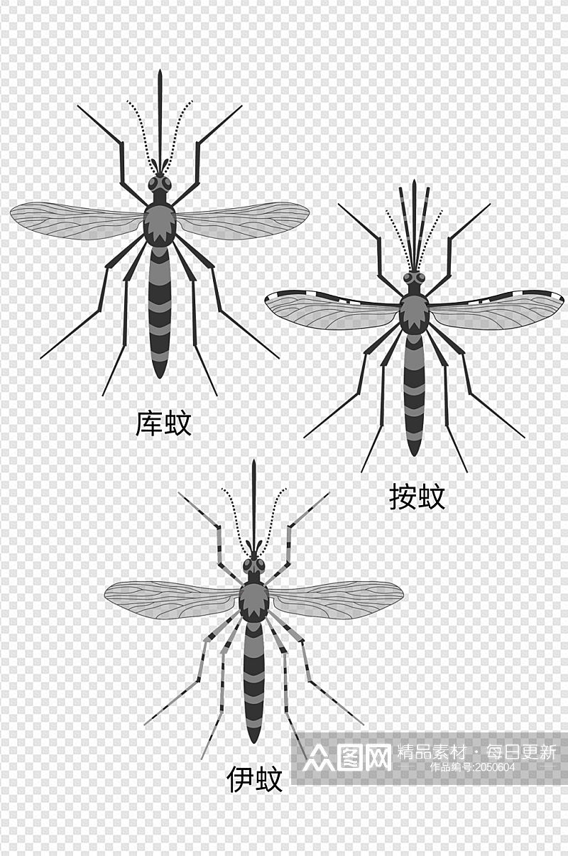 蚊子设计元素套图素材