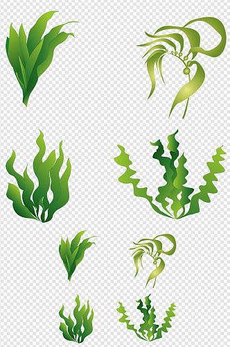 海底海藻植物海带图