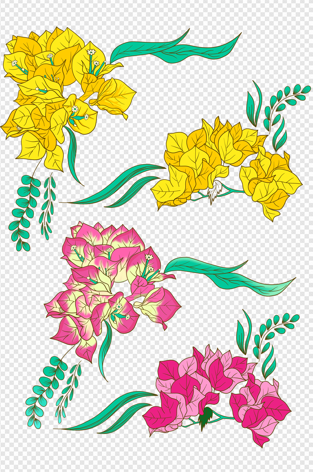 手绘插画黄色粉色三角梅花卉素材素材