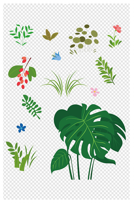 手绘春天夏天热带植物花草叶子装饰素材