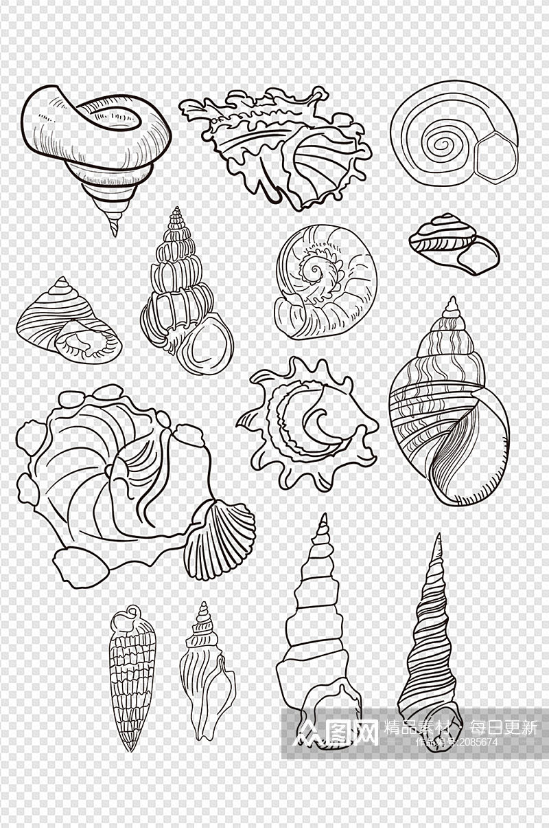 手绘海螺贝壳线稿素材海边免扣元素素材