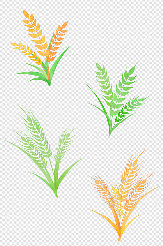 手绘水彩效果麦子小麦装饰图案免扣元素
