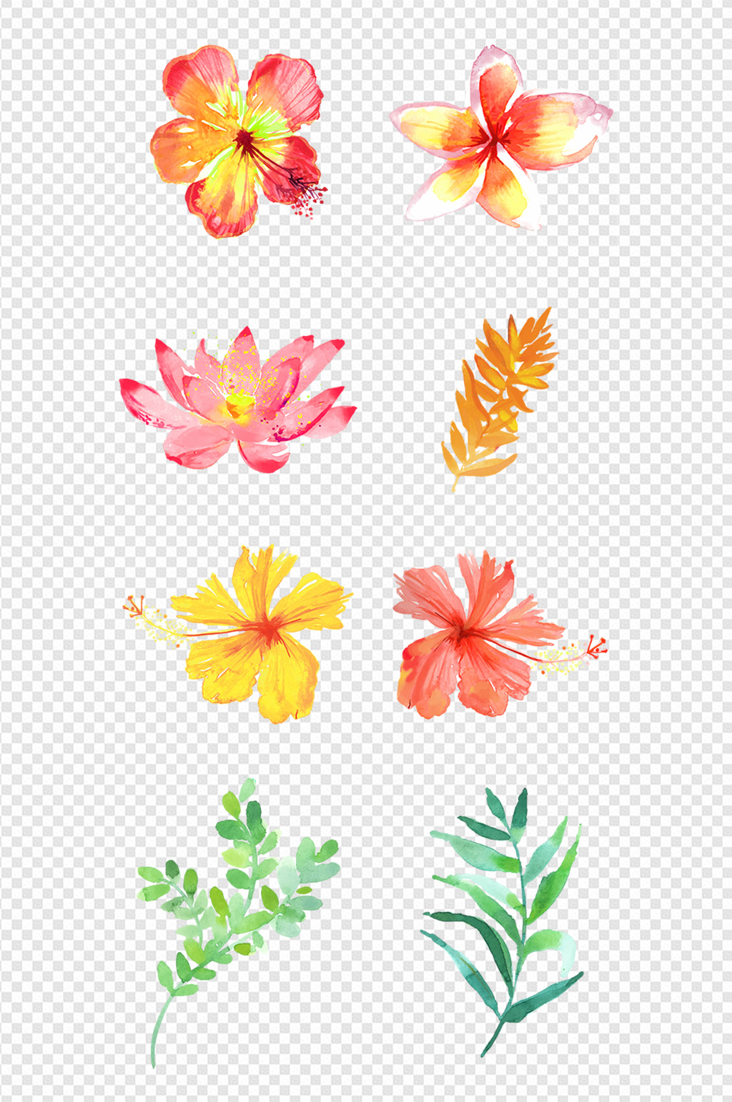 花朵叶子花色背景素材