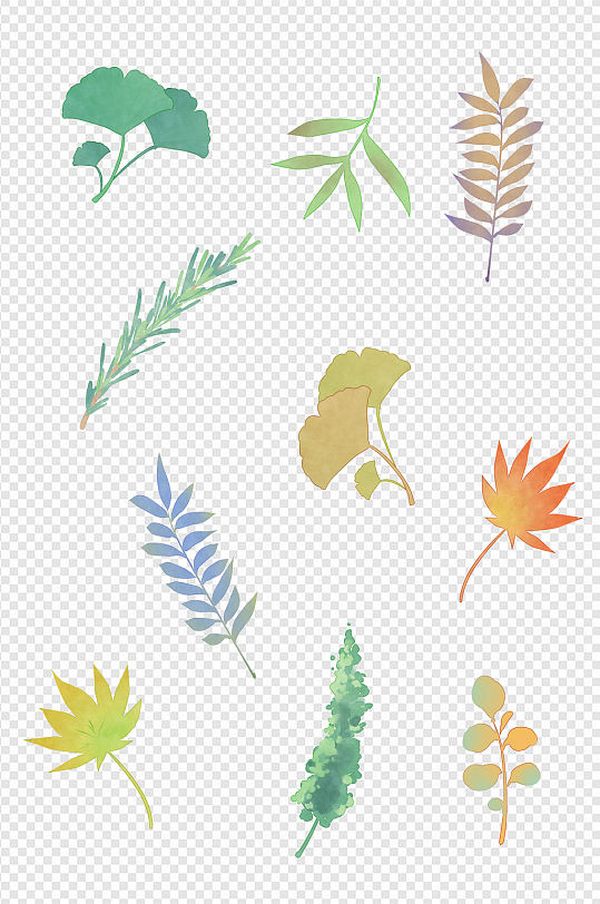 淡彩植物叶子标本装饰图案免扣元素
