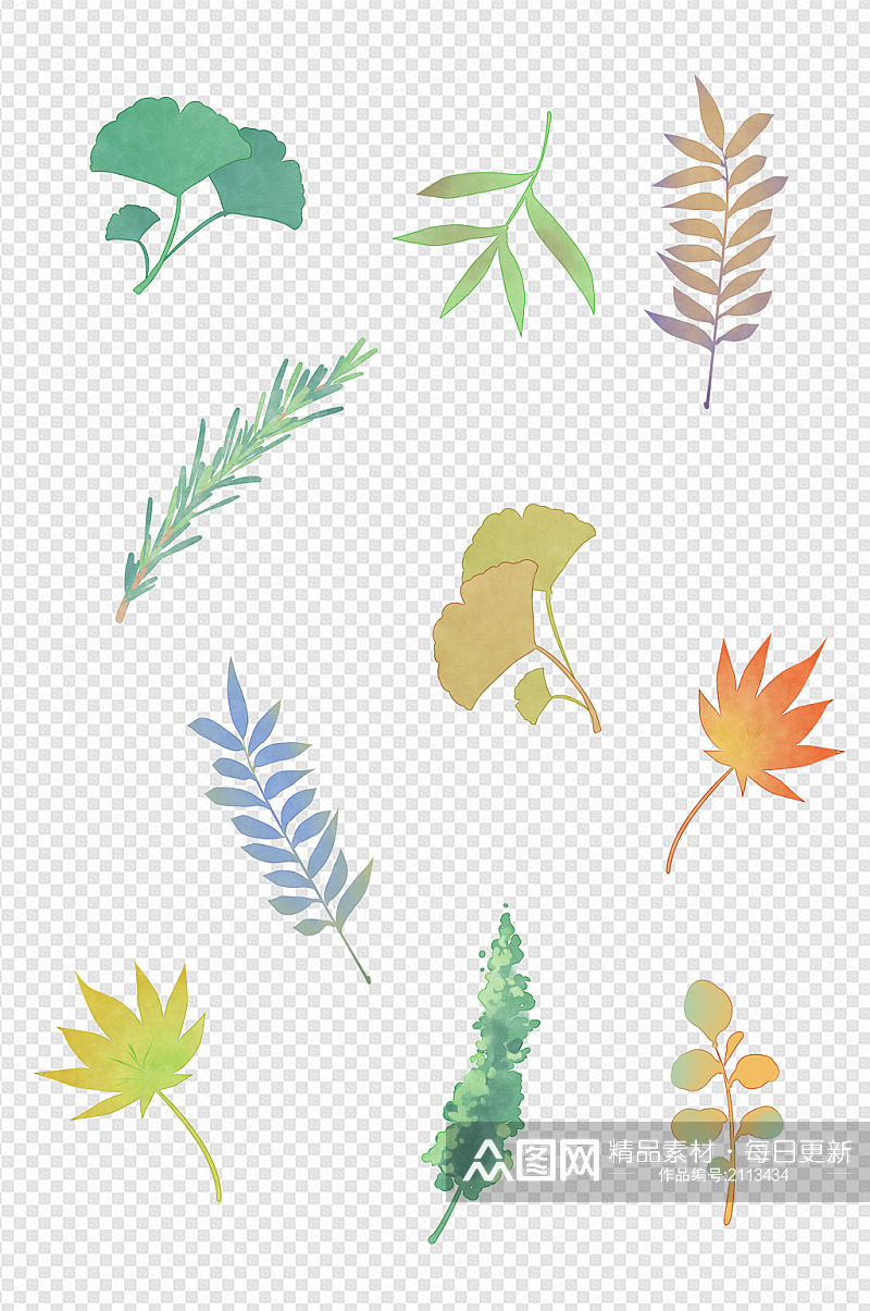 淡彩植物叶子标本装饰图案免扣元素素材