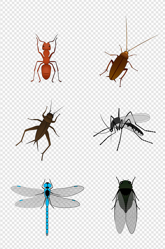 卡通昆虫蟑螂蚊子蚂蚁蜻蜓蟋蟀免扣元素