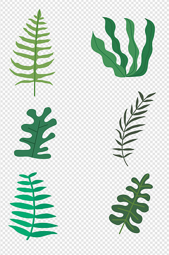 杂草草丛蕨类绿色植物插画装饰免扣元素