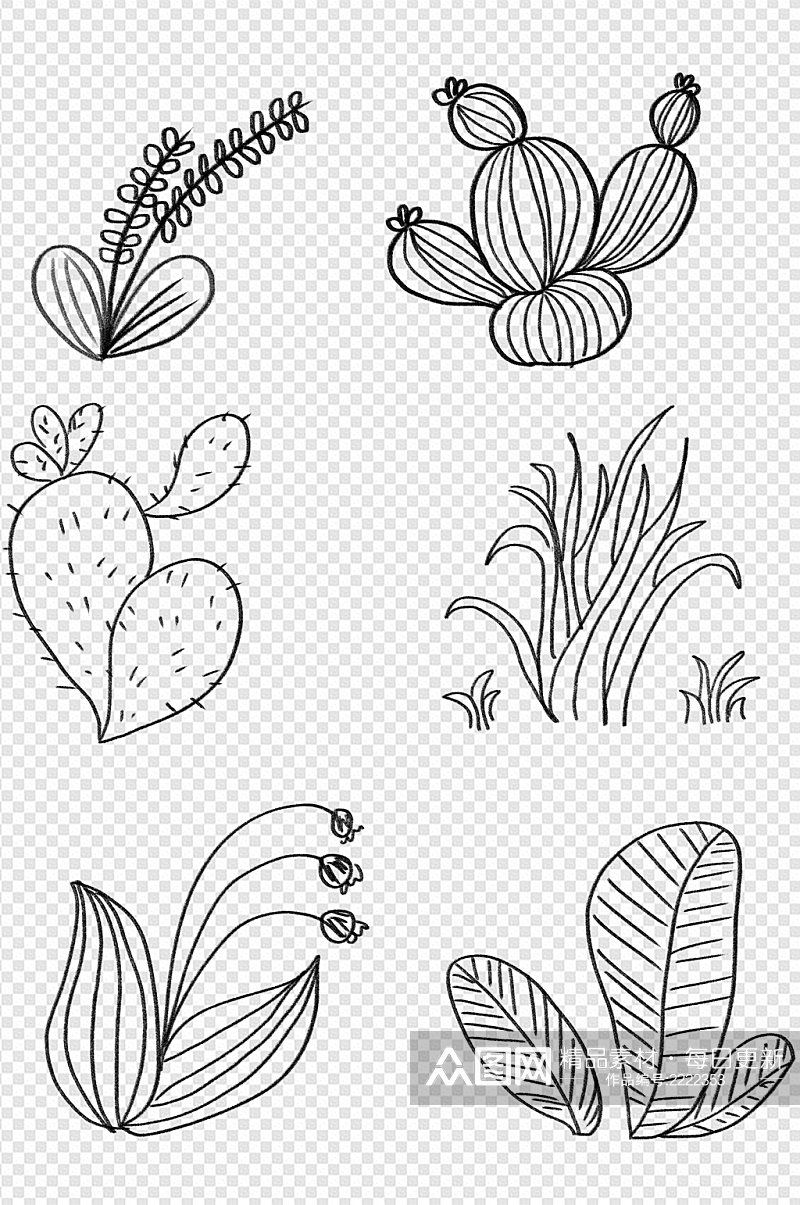 线条插画仙人掌植物线条手绘线描免扣元素素材