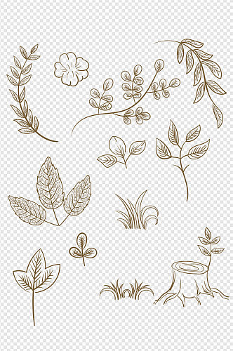 手绘植物叶子白描线稿免扣元素